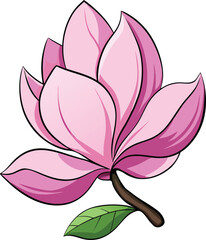 Pink magnolia flower vector illustration with elegant petals
