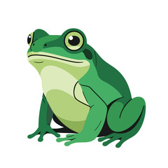 Obraz premium Green Frog Illustration on White Background