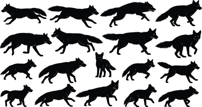 WebBlack vector silhouette set of wolves and foxes for concepts of wildlife nature predator forest animals canine hunting mascot branding