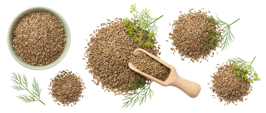 Cumin seeds and fresh leaves on white background