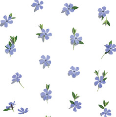 Seamless Pattern Blue Periwinkle Flowers Light White Background