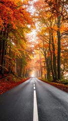 Empty road through trees, showcasing autumn's fiery foliage
