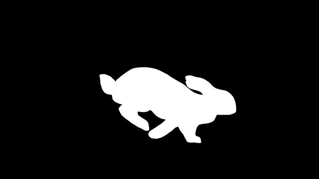 Animated Hand Drawn Running Rabbit Silhouette Loop Video on a Black Background, Hare, Bunny, Jump, Fast Speed, Animal Motion, Nature, Wildlife, 2D Cartoon Element, Easter, Sprint, Leap, Active