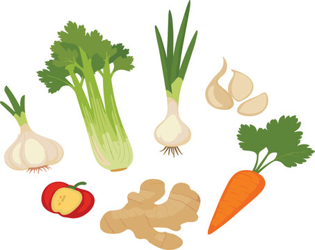 Fresh vegetables collection with garlic celery onion carrot and ginger colorful vector illustration set