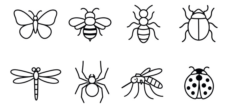 Line art insect icons set featuring common bugs for nature and biology concepts