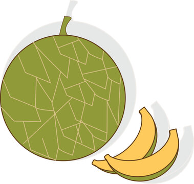 Minimalist Cantaloupe Melon Vector Icon - Simple Flat Blewah Illustration for Refreshing Beverage Design.