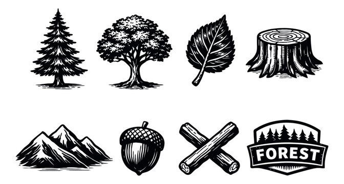 Vintage hand drawn nature elements set featuring trees, mountains, and forest items for outdoor and natural themes