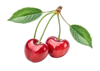 Fresh, juicy, cherries, fruit, red, green, isolated on transparent background