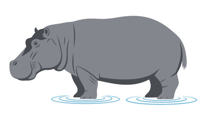 Obraz premium Stylized gray hippopotamus standing in shallow blue water ripples
