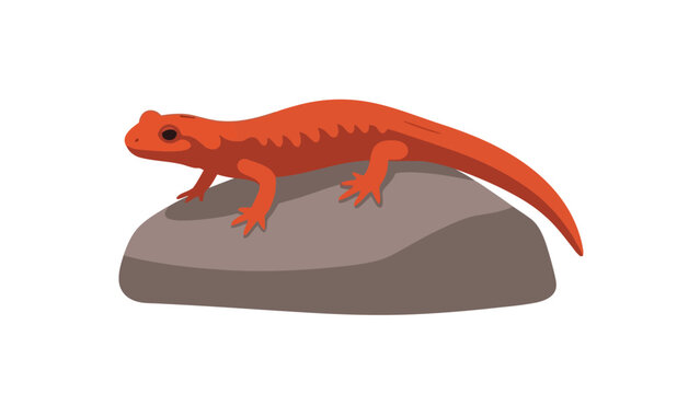 Stylized orange newt resting on a gray rock against a white background