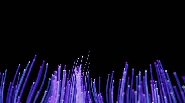 Abstract motion background with flowing purple fiber optic light trails creating dynamic visual effects on black backdrop