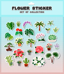 Set of Flower decorative elements