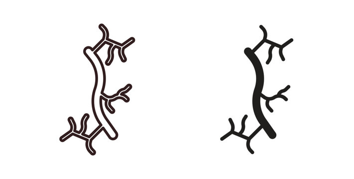 Human artery icon vector Illustration logo template pack