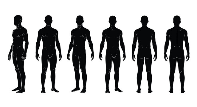 Collection of detailed black male human body silhouettes illustrating front side and back anatomical views for reference or design purposes