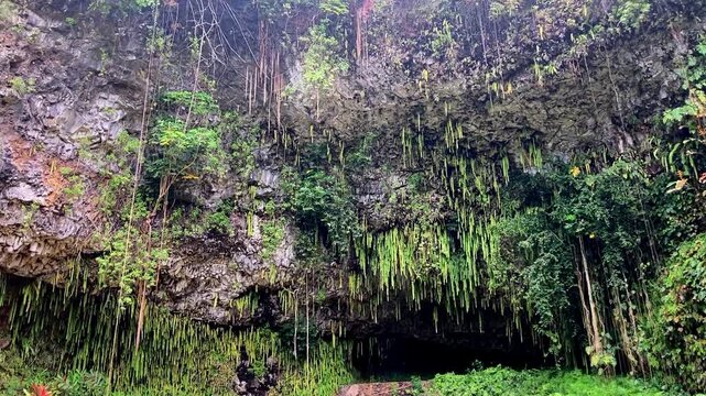 Ferngrotto on Kauai, known through Elvis-Film Blue Hawaii (1961)