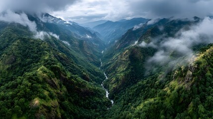Obraz premium Aerial perspective reveals a deep lush green mountain valley where white clouds and mist hang low between steep slopes and forested peaks.