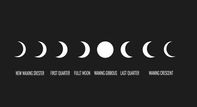 Phases of the Moon Cycle.