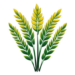 Fototapeta premium Green wheat plant illustration with leaves isolated on Transparent Background