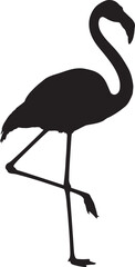Fototapeta premium Flamingo bird standing profile view large pink wading bird