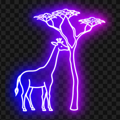 Neon Giraffe Silhouette With Acacia Trees, Wildlife Illustration © Kaushik
