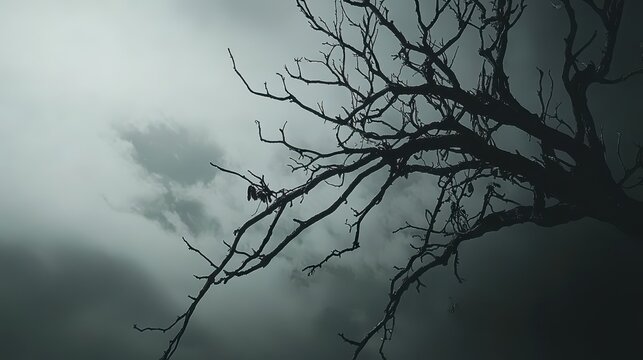 Gnarled leafless tree branches reaching towards an unfocused sky creating a dark silhouette