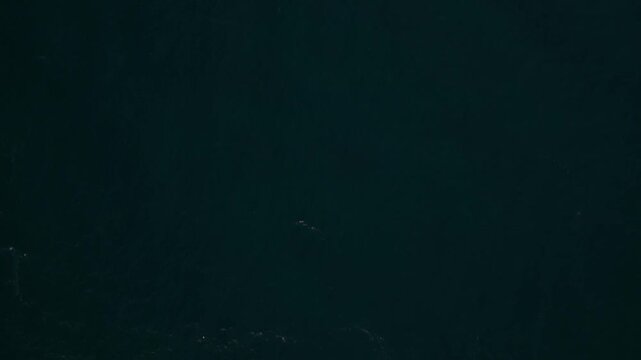 Lloret De Mar (Costa Brava - Spain) | Drone