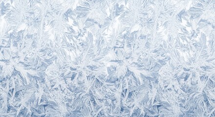 Obraz premium Abstract white frost texture background close-up with delicate crystalline patterns and icy details for winter design