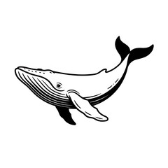 Black and White Whale Line Art Vector Illustration © Roton art