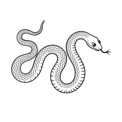Obraz premium Black and White Snake Line Art Vector Illustration