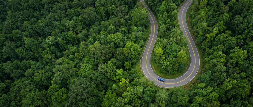 Aerial view of a winding road through a lush green forest