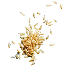 Piled and scattered golden-brown elongated grains, resembling rice, on a stark black backdrop