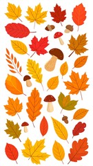 Obraz premium Colorful autumn leaves, mushrooms and acorns arranged on a white background, flat vector style