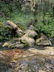 Obraz premium Detailed view of the moss-covered limestone cliffs and dripping water at Sa Stidiosa, overlooking a clear natural river pool in Sardinia.