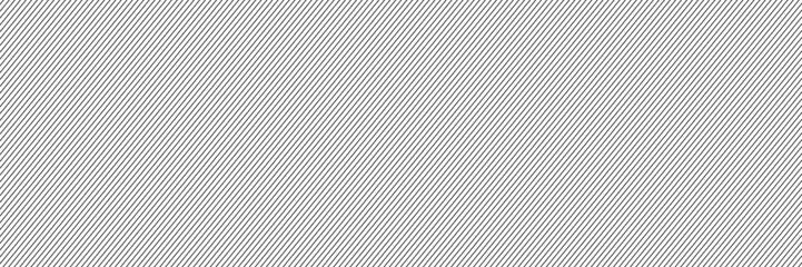 Seamless pattern with thin diagonal lines. Black and white abstract background. © Bua