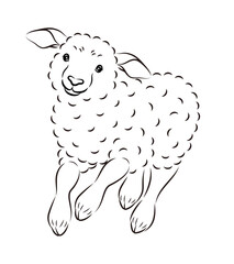元気に走っている可愛い子羊の正面から見たイラスト
