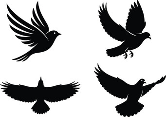 Obraz premium Four black silhouettes of birds in flight on white background