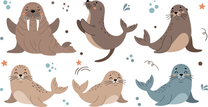 Cute seal and walrus character set with playful poses and expressions, adorable marine animal cartoon flat vector illustration for kids and ocean design