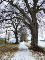 Obraz premium Icy Winter Path Near Parkentin (Germany)