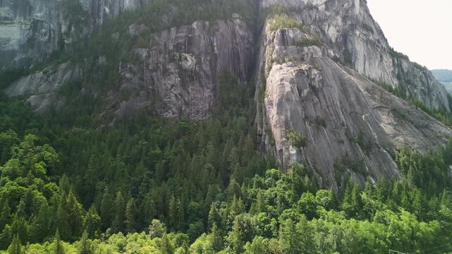 Drone footage of a rocky cliff face with vertical features, surrounded by dense green forest at the base and farmland beyond, in Idaho Snake River area.