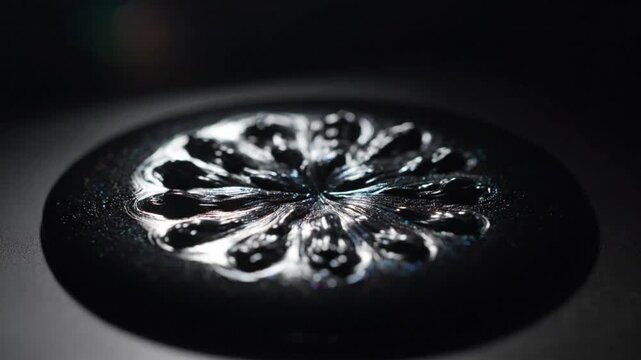 Mesmerizing Black Ferromagnetic Fluid Forming Flower-like Structures Under a Magnetic Field in Dark Conditions