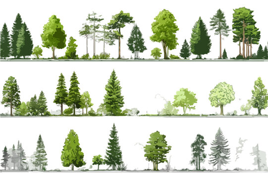Collection d'arbres vari&eacute;s incluant des pins, des sapins et des feuillus sur fond blanc isol&eacute;s pour des projets de design paysager et d'architecture.