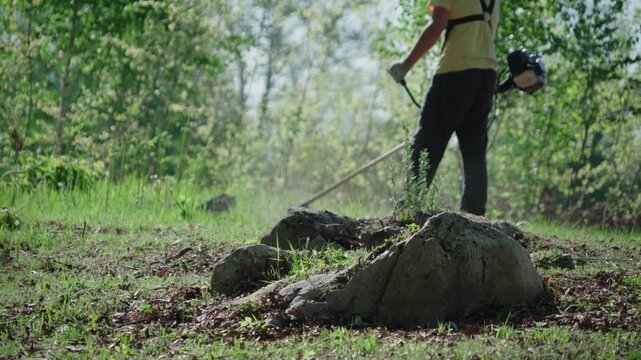 Person using a string trimmer to cut grass and weeds in a natural outdoor area on a sunny day.