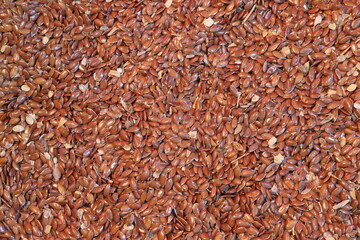 Obraz premium brown flax on shop for sell
