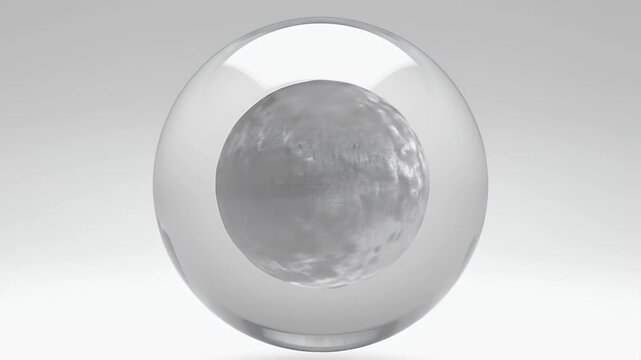 Smooth, grey, ovular object enclosed within a transparent, rounded shell