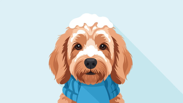 Adorable fluffy dog with soap foam on head, wearing blue sweater