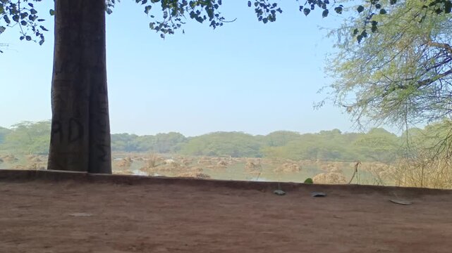 Visitors walking on the track aside of water body in Sultanpur Bird Sanctuary during winters