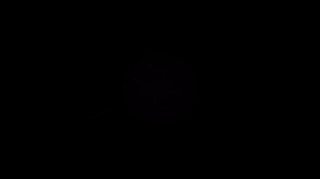 A completely black rectangular image with no visible features or objects.