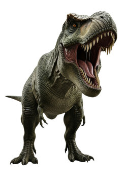 Massive, hyper-realistic t-rex mid-roar with detailed dark green scales, sharp teeth, and amber eyes, shot at a low angle against a transparent studio backdrop. Concept of prehistoric apex