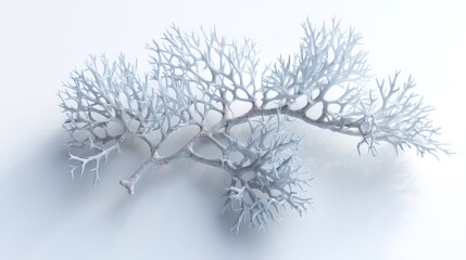 3D rendered gray coral branch with soft shadows formal and trustworthy for editorial use