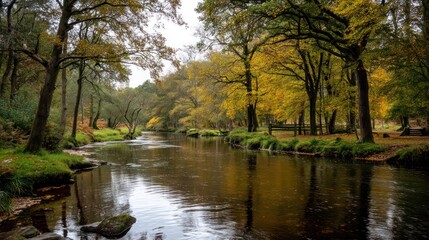 A calm river winding through autumn trees